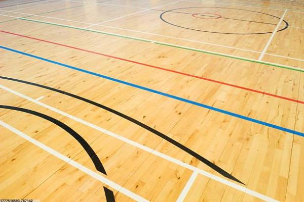 水族传统体育项目赛马(图1)